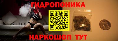 СК Севастополь