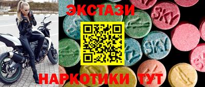 СК Севастополь