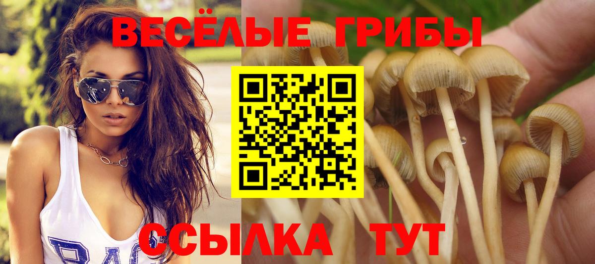 Галлюциногенные грибы Psilocybine cubensis Рассказово