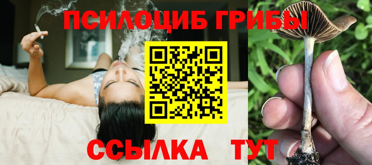 Рассказово  Галлюциногенные грибы MAGIC MUSHROOMS  Псилоцибиновые грибы прущие грибы  Вход с VPN 